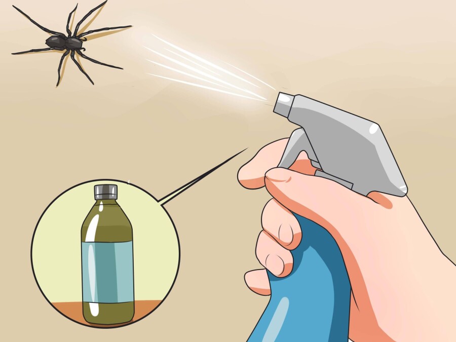 как избавиться от пауков в доме