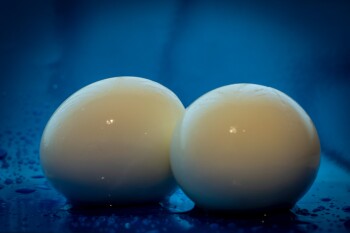 Яйца мужчины | Фото