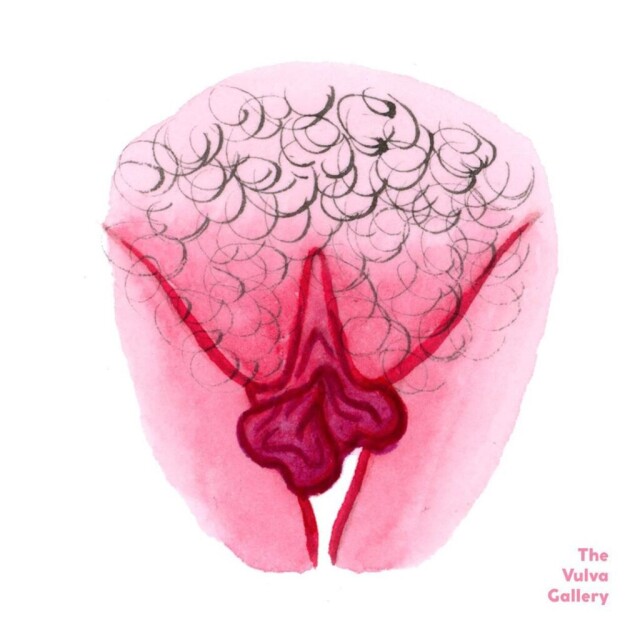 виды вагин