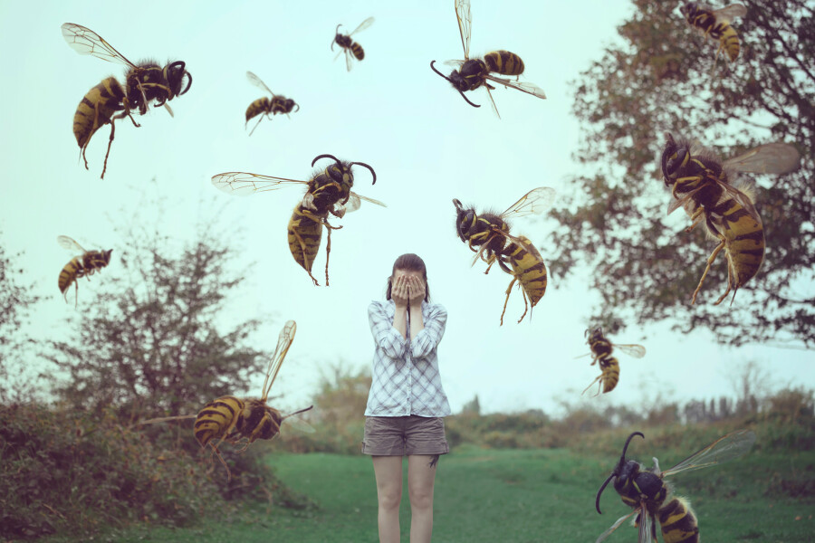 страх перед насекомыми
