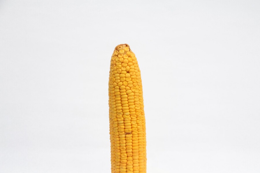 кукурузка