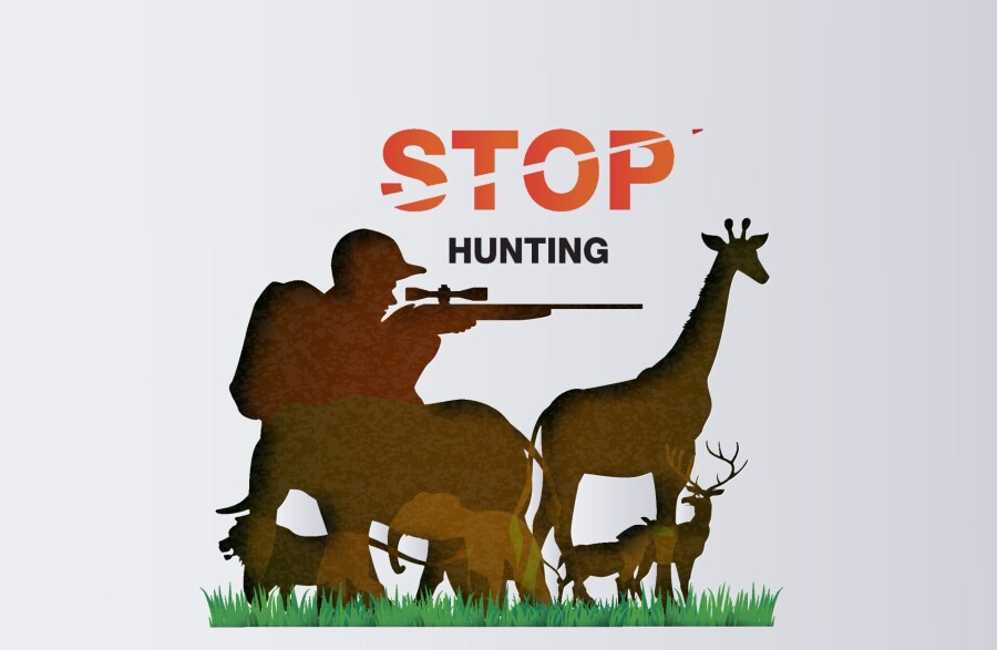 запрет на охоту
