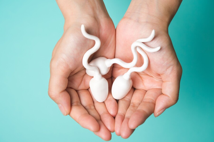 сперматозоиды в руках