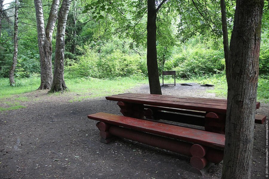 Зона для пикника в Измайловском парке