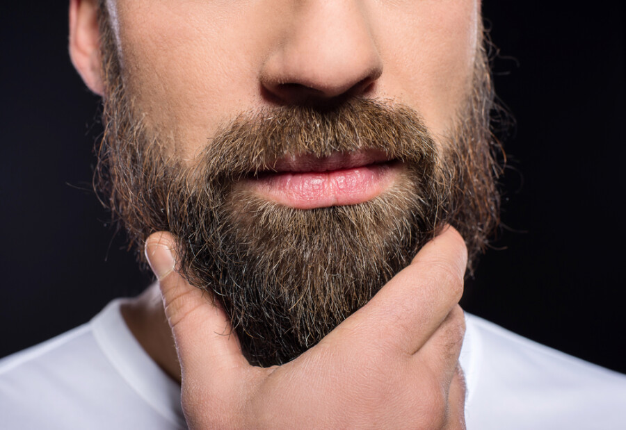 факты о бороде