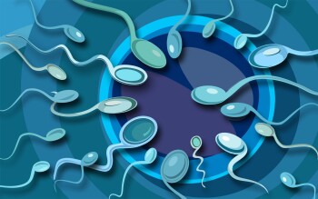 Повышенная вязкость спермы