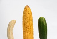 38 handmade секс игрушек, которые уже есть у тебя дома