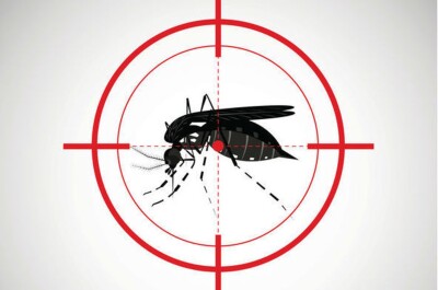 Альтернативные способы отпугивания комаров