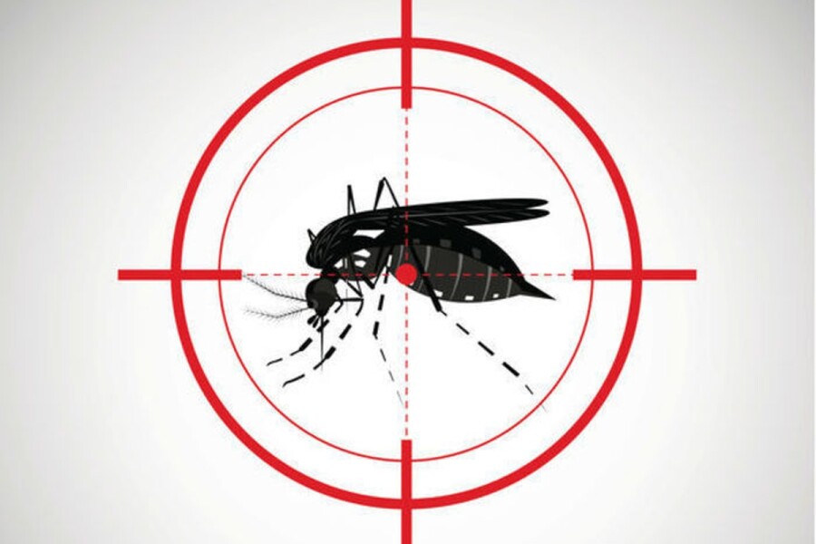 советы по уничтожению комаров