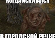 200+ смешных картинок с надписями ДО СЛЕЗ для поднятия настроения
