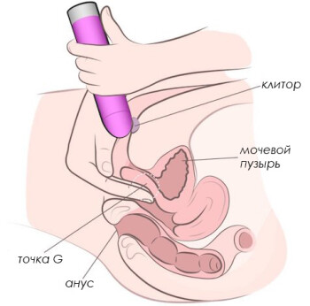 Вибратор в попу: наслаждение и разнообразие от секс-шопа 69bong.ru