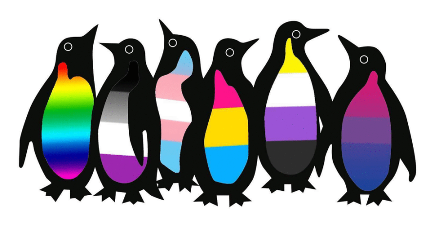 пингвины сексуальная ориентация