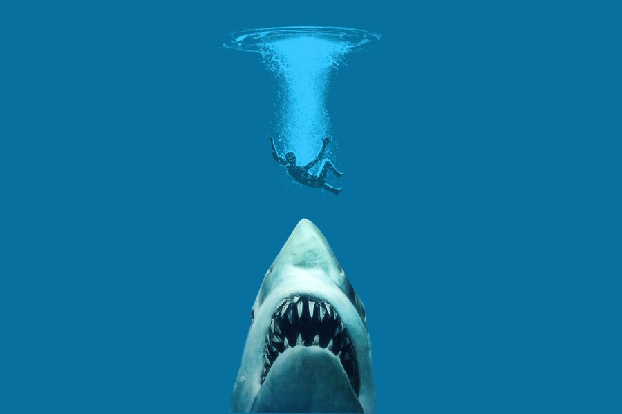 боязнь акул