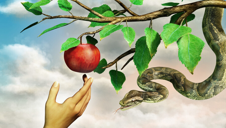 Чем на самом деле являлся запрет на плоды от дерева познания зла и добра
