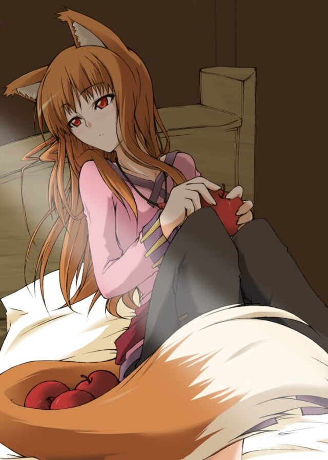 Holo The Wise Wolf (Spice And Wolf)