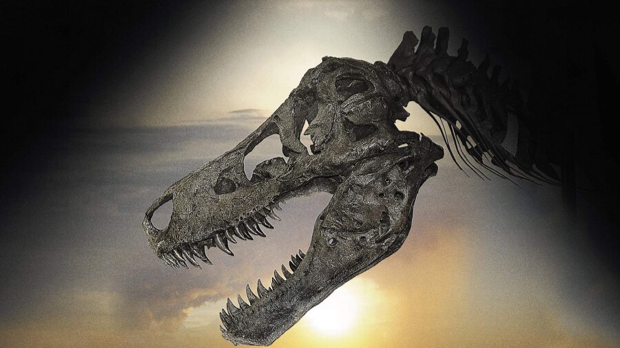 «Динозавр 13» (2014, США)