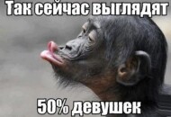 Бесплатные смешные приколы ДО СЛЕЗ 200+ картинок