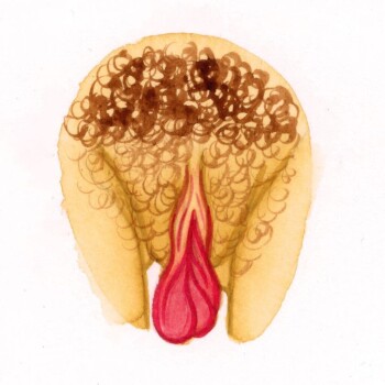 Самые красивые виды вагин (61 фото)