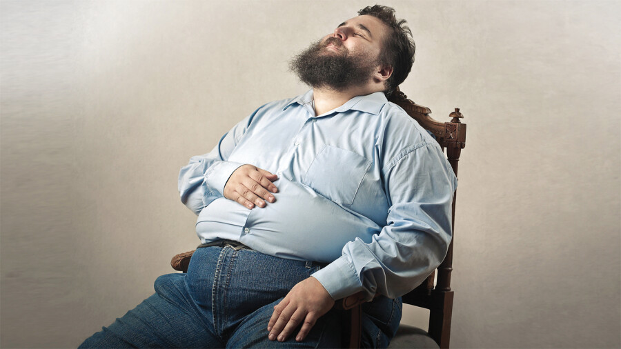 толстяк спит на стуле