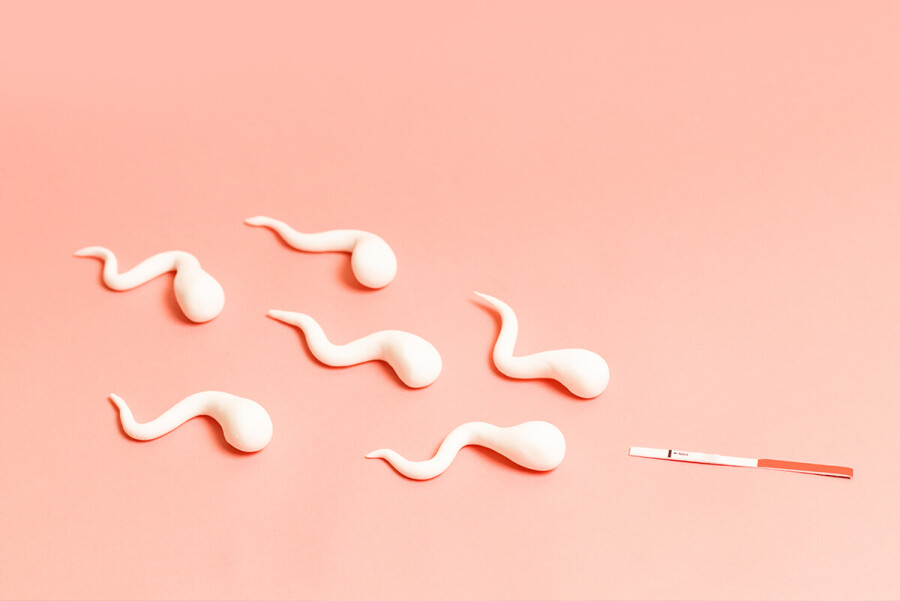 сперматозоиды и тест на беременность