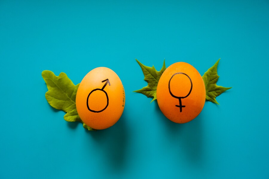мужской и женский знаки на яйцах