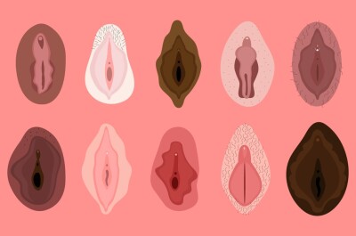 Сиповка, королек, мутовка: отличия женских половых органов