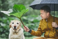 Хороший человек – это… 40 признаков «хорошести»