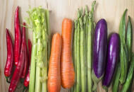 Член — двадцать видов мужского пениса в картинках