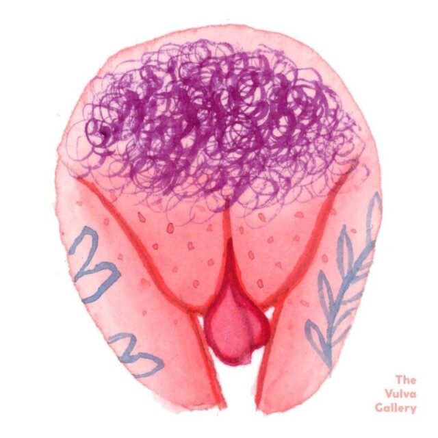 виды вагины