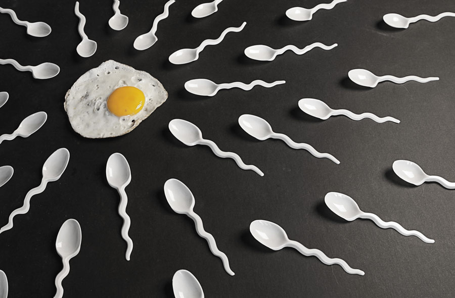 Анализы спермы