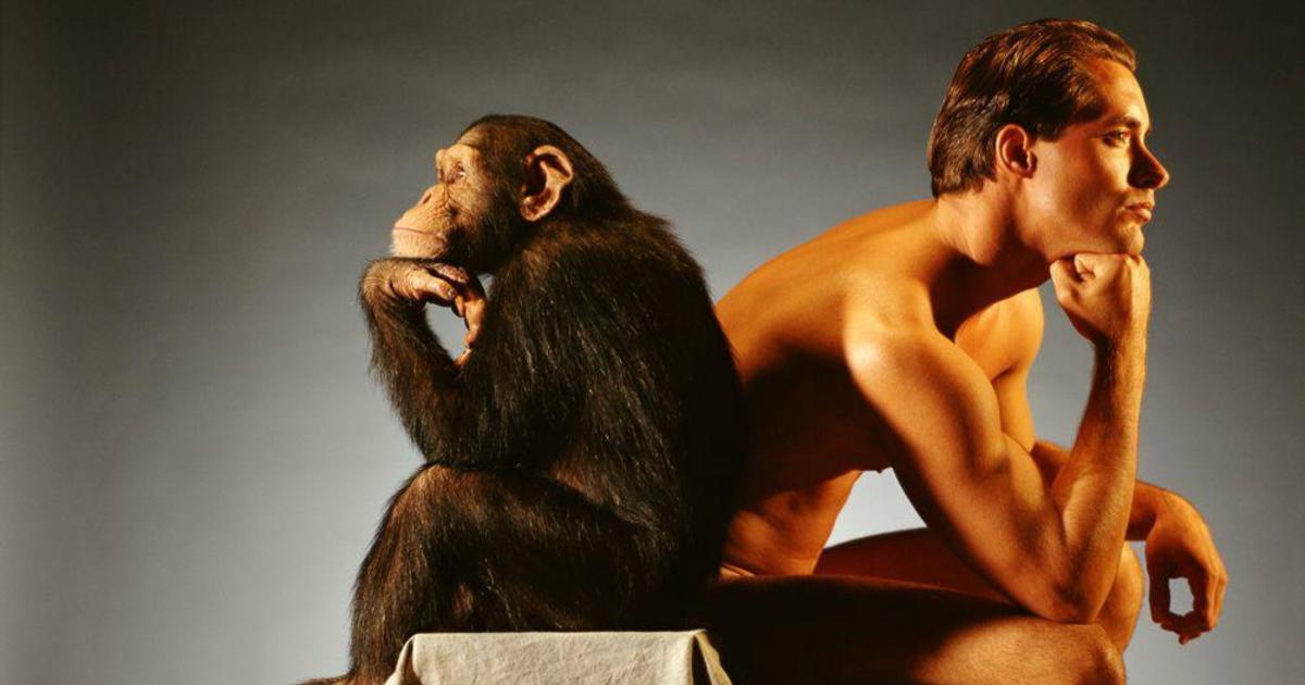 Секс обезьяны с девушкой видео смотреть