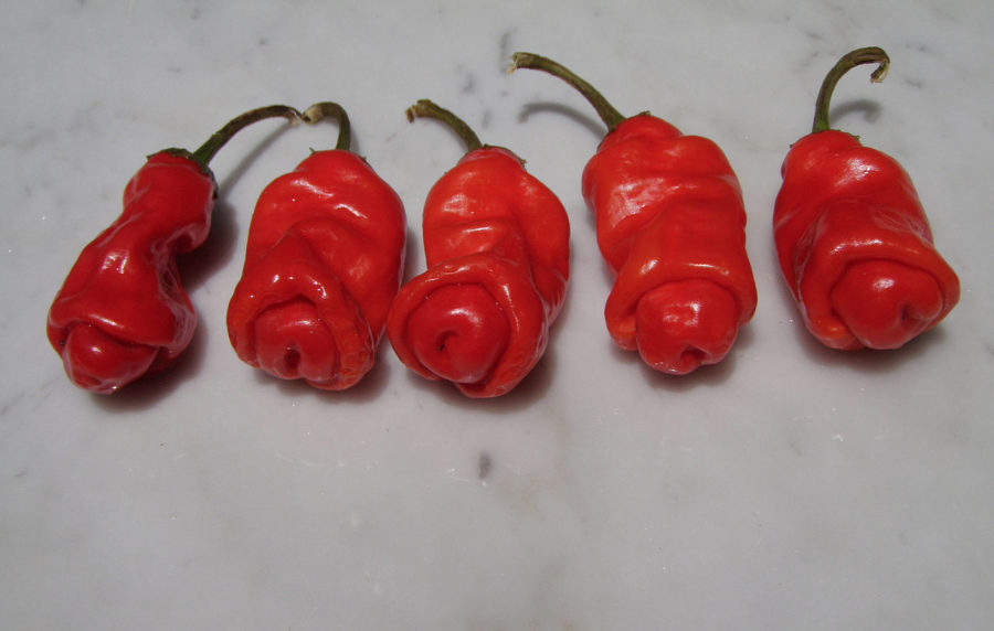 продукты для секса