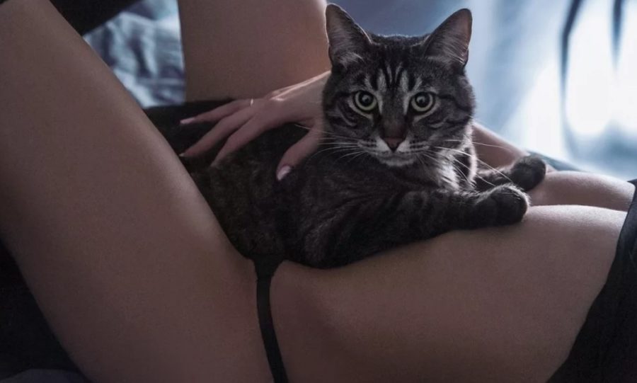 Женские ласки для мужчины