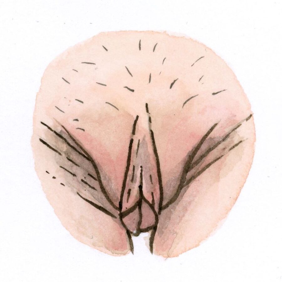 File Vagina