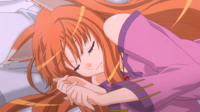 Holo The Wise Wolf (Spice And Wolf)