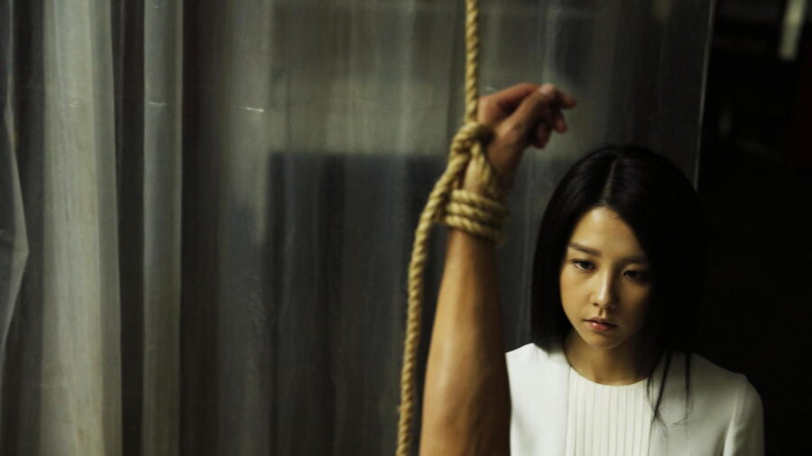 Жильцы снизу / Lou xia de fang ke (Тайвань, 2016)