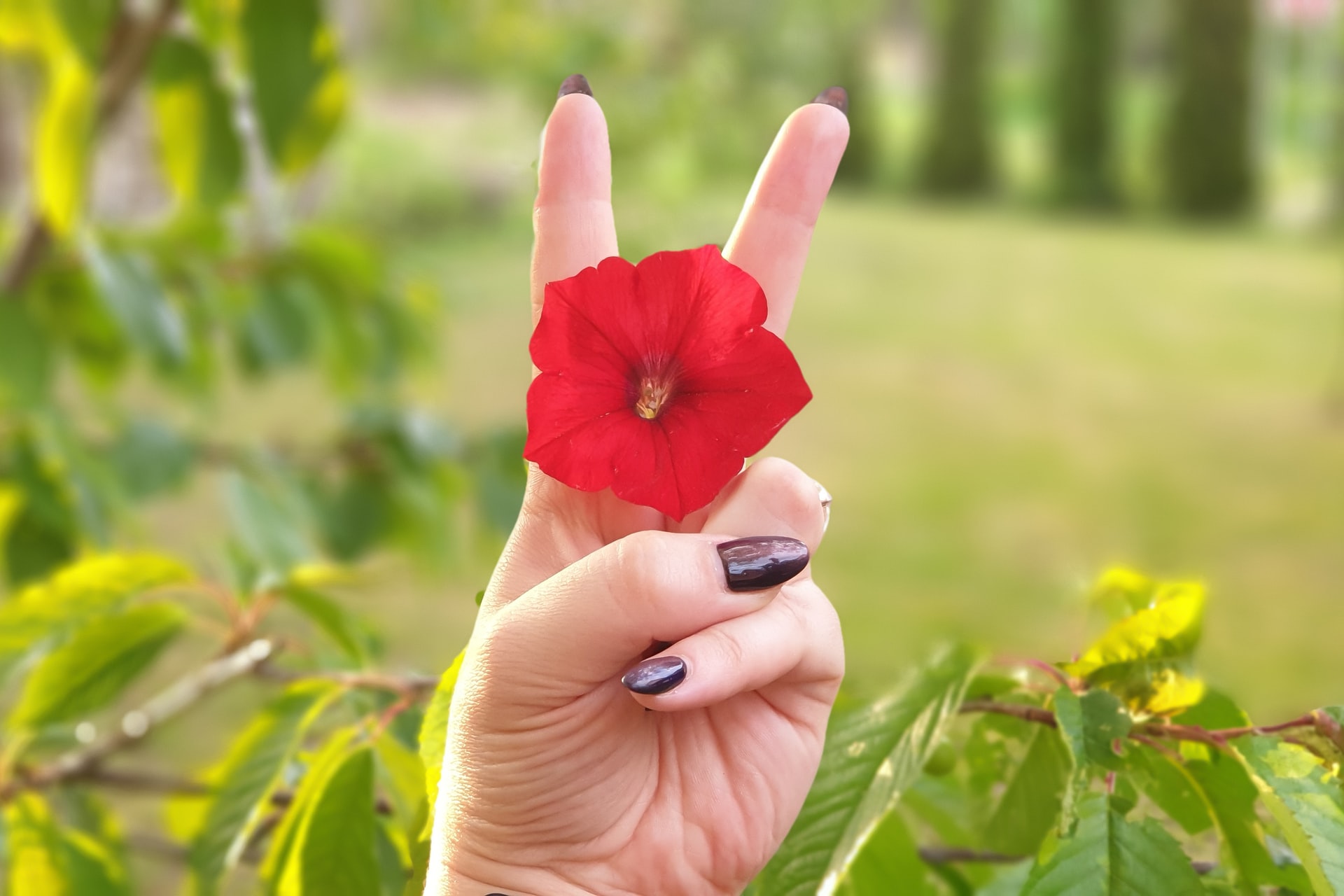 Как подготовиться к куни
