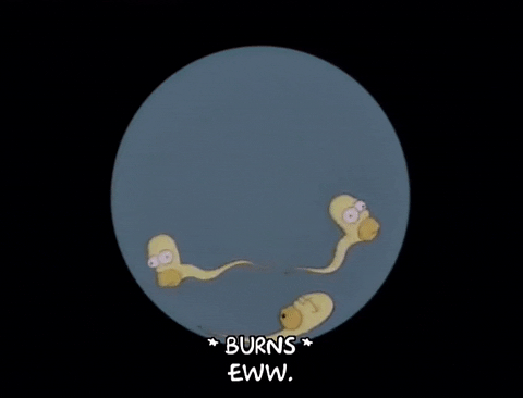 кадр из мультсериала "Симпсоны"