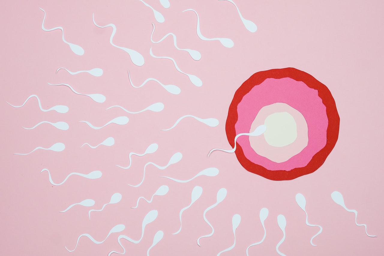Найдены истории: «Яйца полные спермы» – Читать