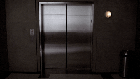 пара целуется в лифте