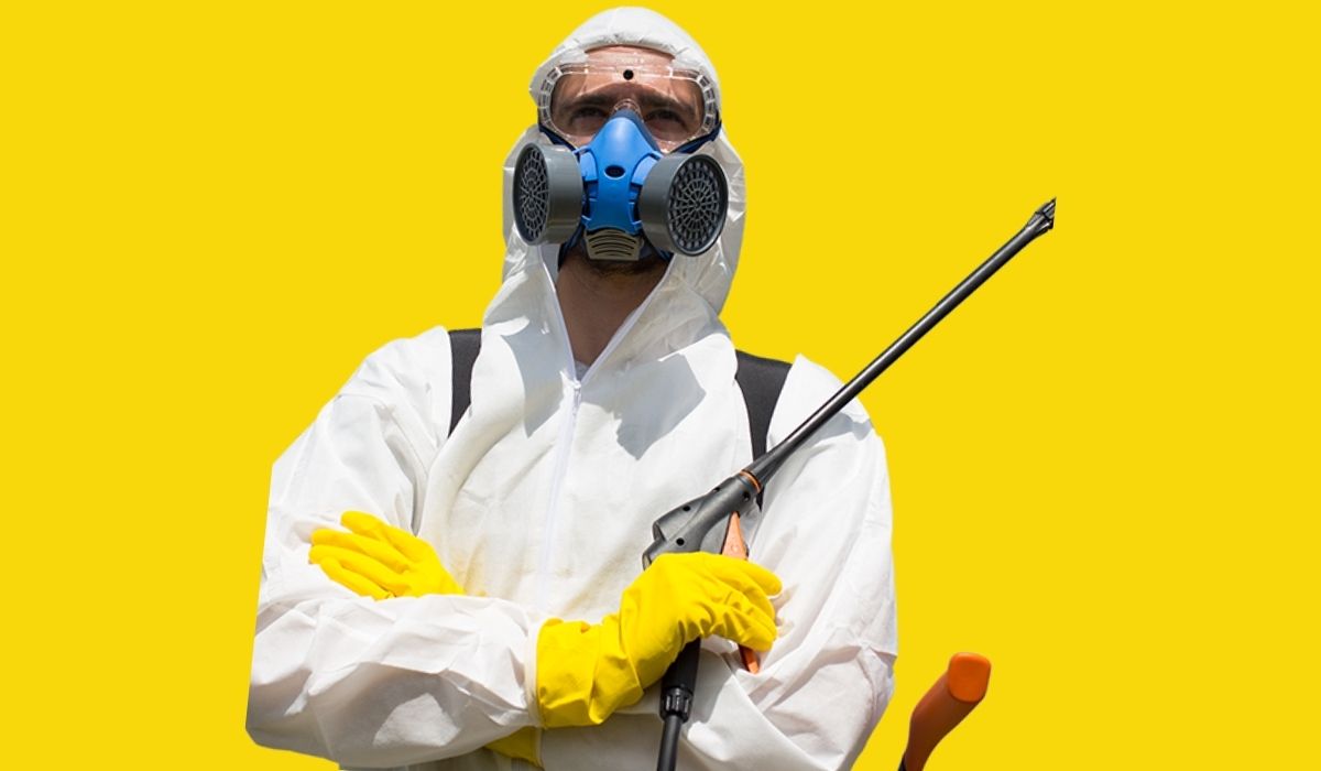 ТОП 35 советов как избавиться от блох в квартире