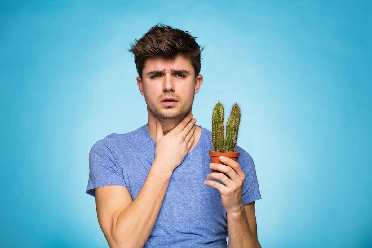 ТОП 35 советов как быстро избавиться от боли в горле